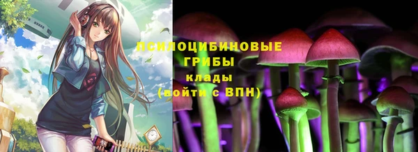 гидропоника Нягань