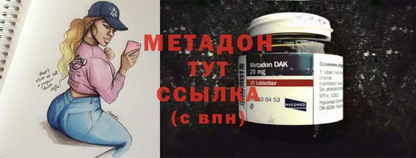 гашик Няндома