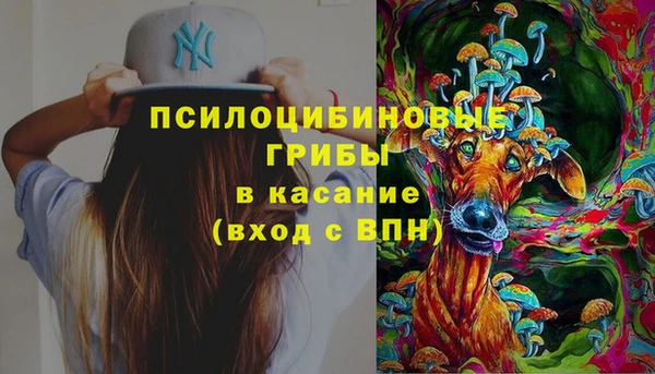 МДПВ Осинники