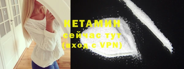 гашик Няндома