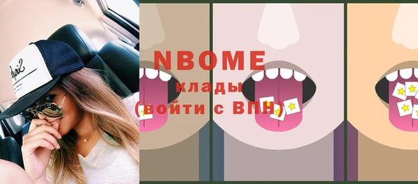 гашик Няндома