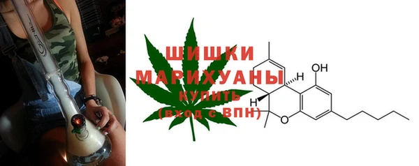 гашик Няндома