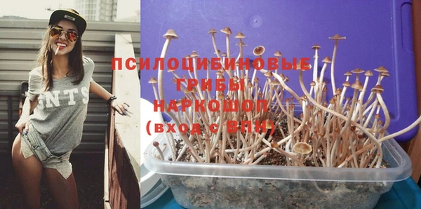apvp Нязепетровск