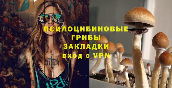 гашик Няндома