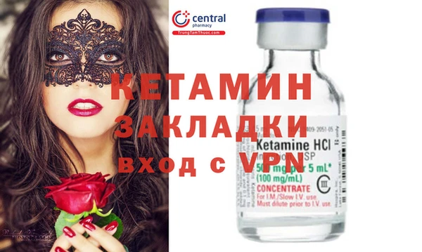гашик Няндома