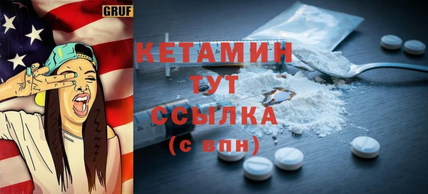 гашик Няндома