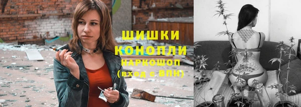 гашик Няндома