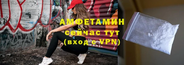 гашик Няндома