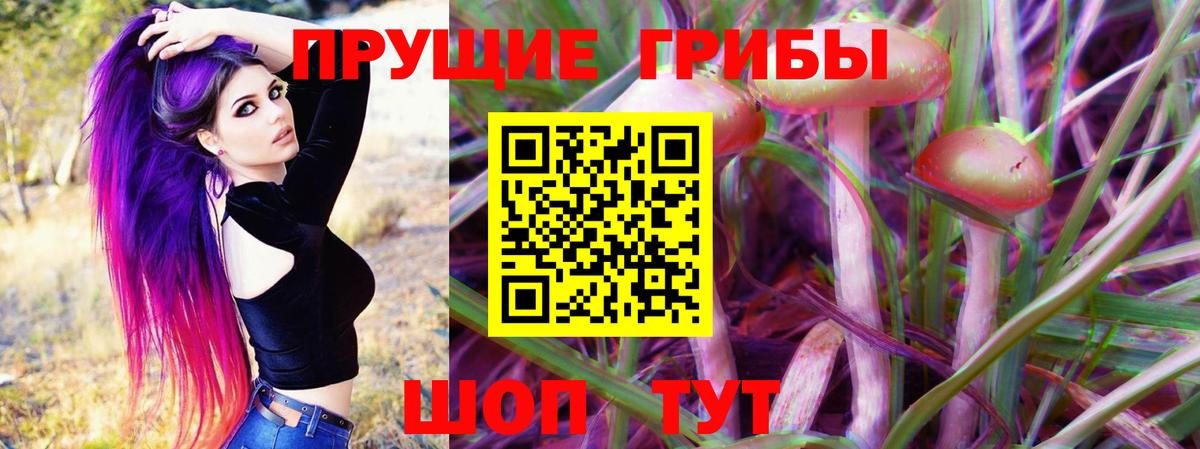 Коряжма  Галлюциногенные грибы Psilocybe  Вход с VPN 