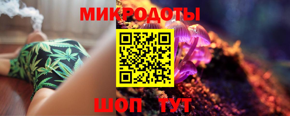Галлюциногенные грибы мухоморы Коряжма